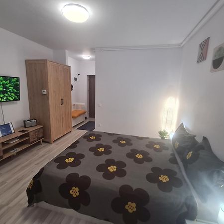 Siriului Studio Bucarest Extérieur photo
